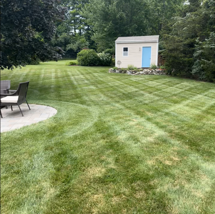 Lawn mowing and weed whacking